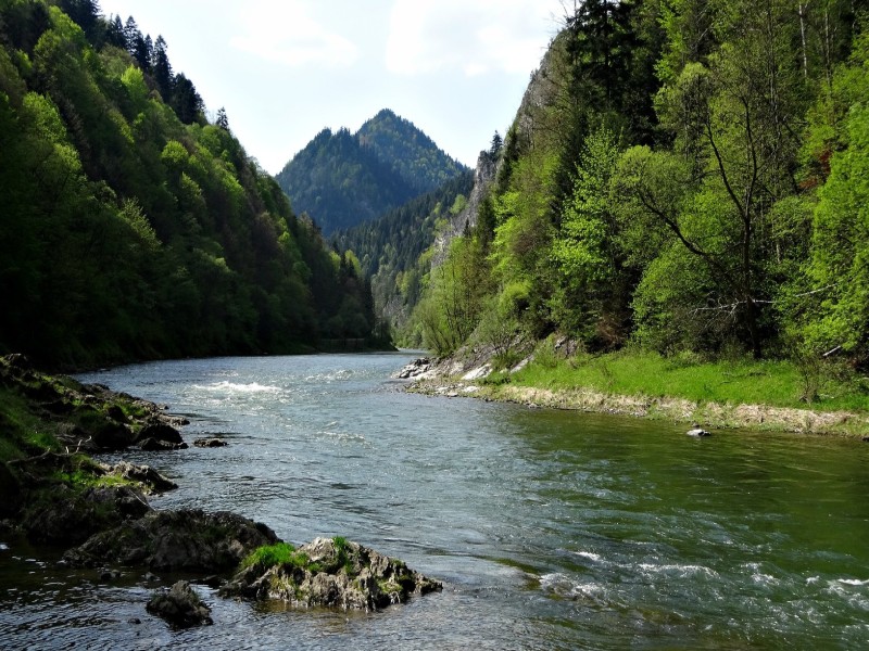 gdzie na kajak? – Dunajec