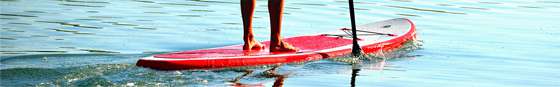 deska sup exocet discovery 2017