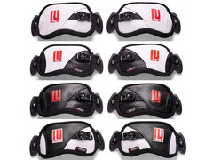 Strapy SU-2 Raptor QSR