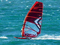 Żagiel Severne NCX Antracite 2023