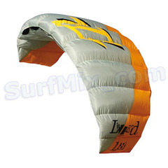 Latawiec North Lizard 2010