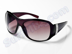 Okulary Joker 2437 Brown 2012