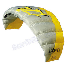 Latawiec North Lizard 2011