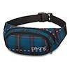 Saszetka Nerka Dakine Womens Hip Pack Suzie 2016