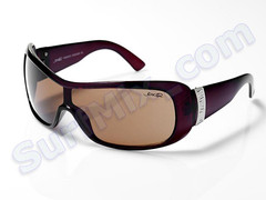 Okulary Joker 2421 Brown 2012
