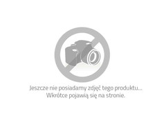 Spodenki Dakine MAE BOARDSHORT Black